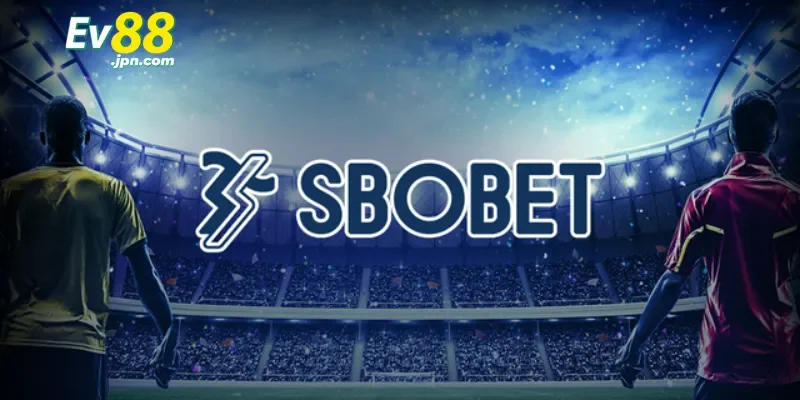 Lý do bet thủ nên chọn Sbobet Ev88