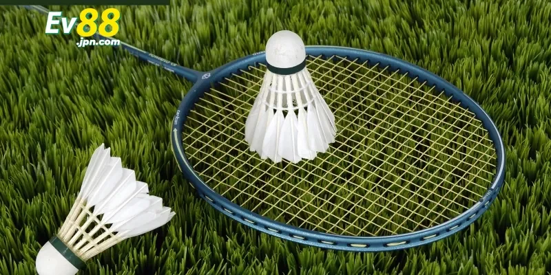 Những điều cần tránh khi tham gia cá cược cầu lông